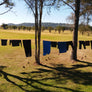 Travel / Camping Clothesline