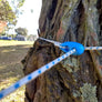 The Original Shockloc Slider tarp tie used on our camping travel clothesline so easy to adjust to length no knots no hooks