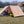 Ezy Anchor Awning Pack
